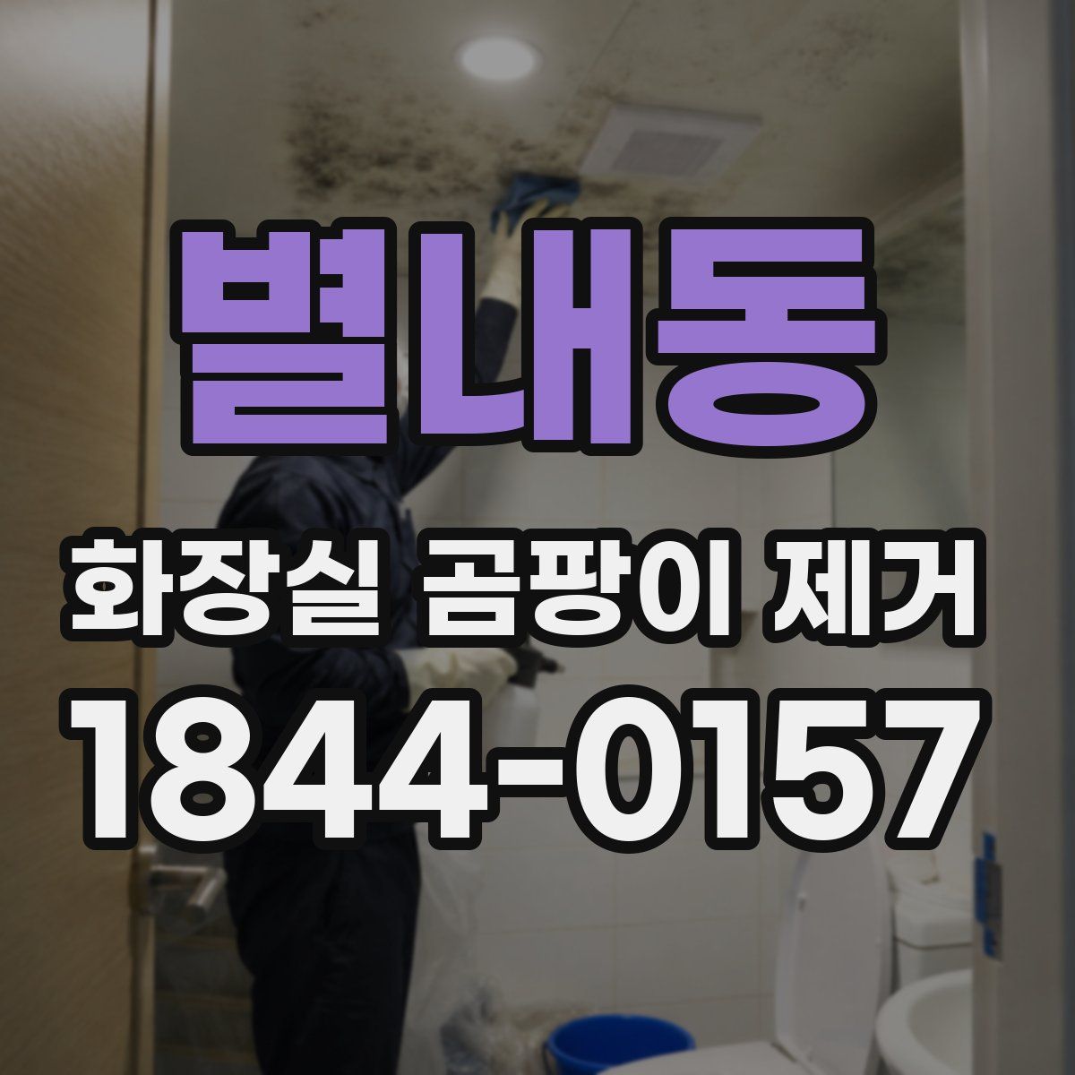 별내동 화장실 곰팡이 제거