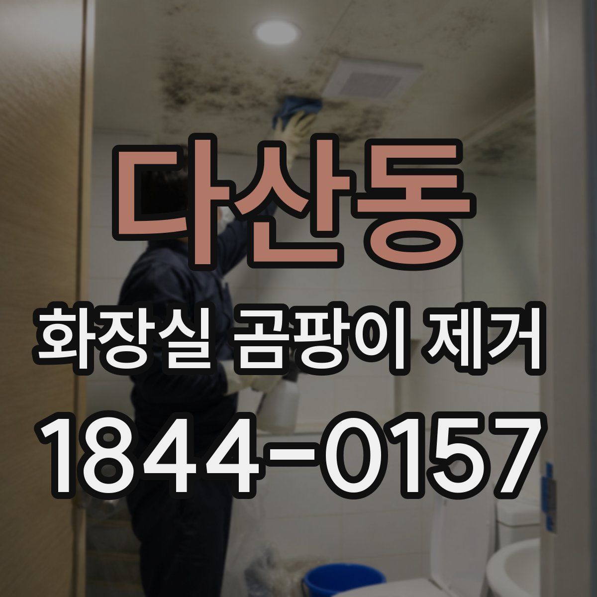 다산동 화장실 곰팡이 제거
