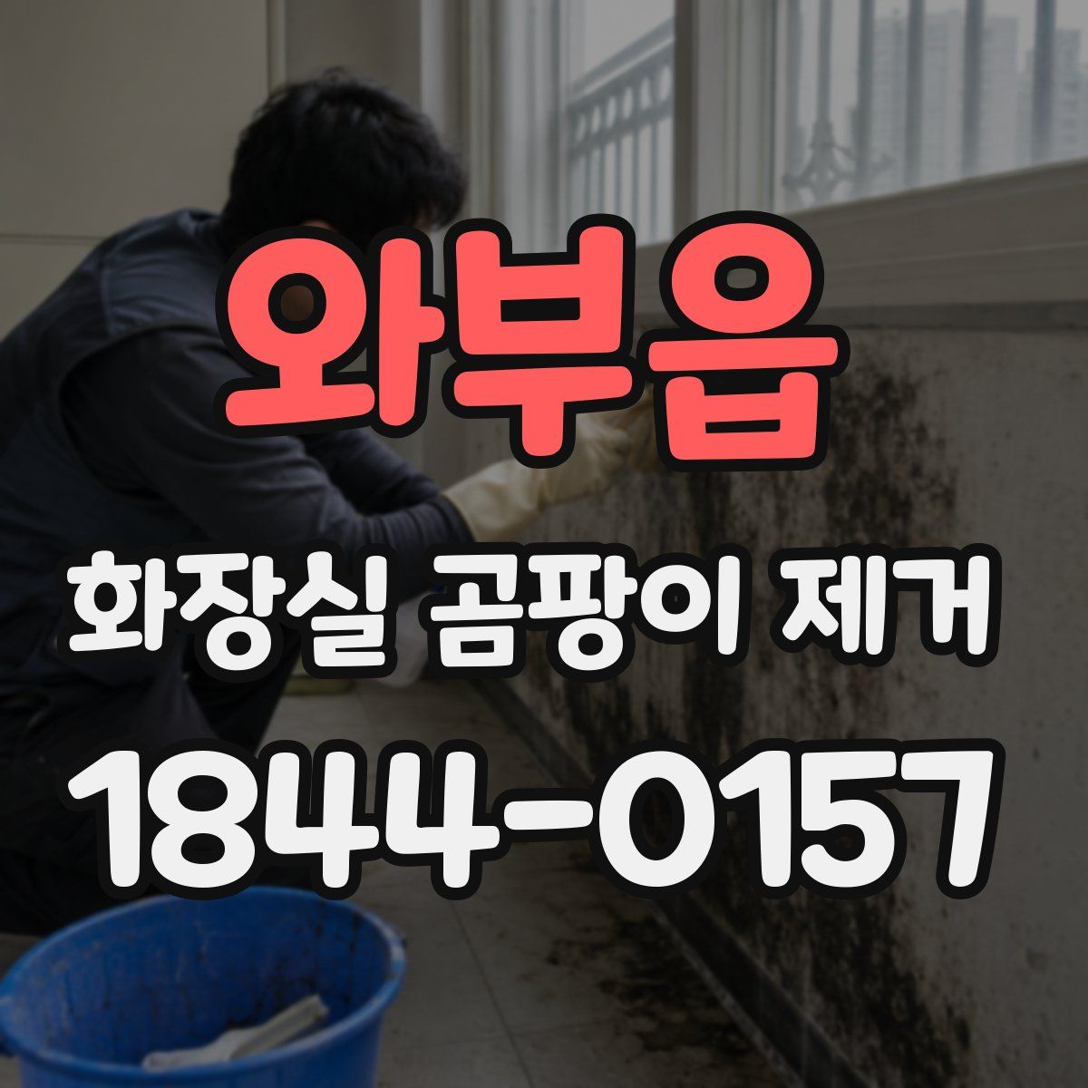 와부읍 화장실 곰팡이 제거