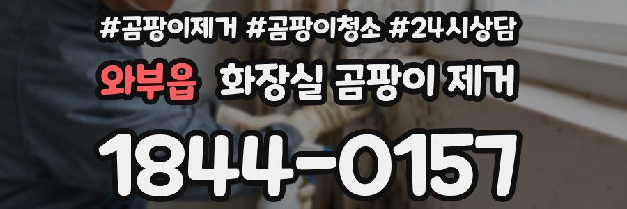 와부읍 화장실 곰팡이 제거