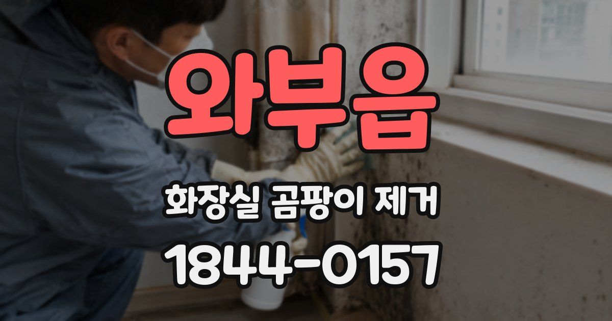 와부읍 화장실 곰팡이 제거