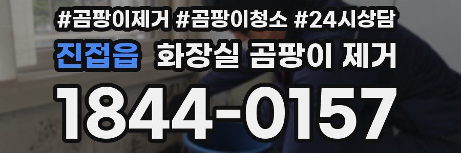 진접읍 화장실 곰팡이 제거