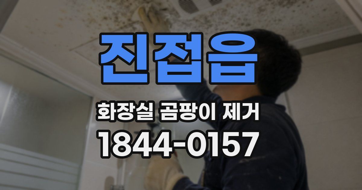진접읍 화장실 곰팡이 제거