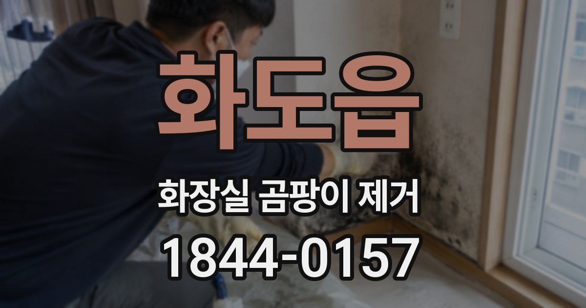 화도읍 화장실 곰팡이 제거