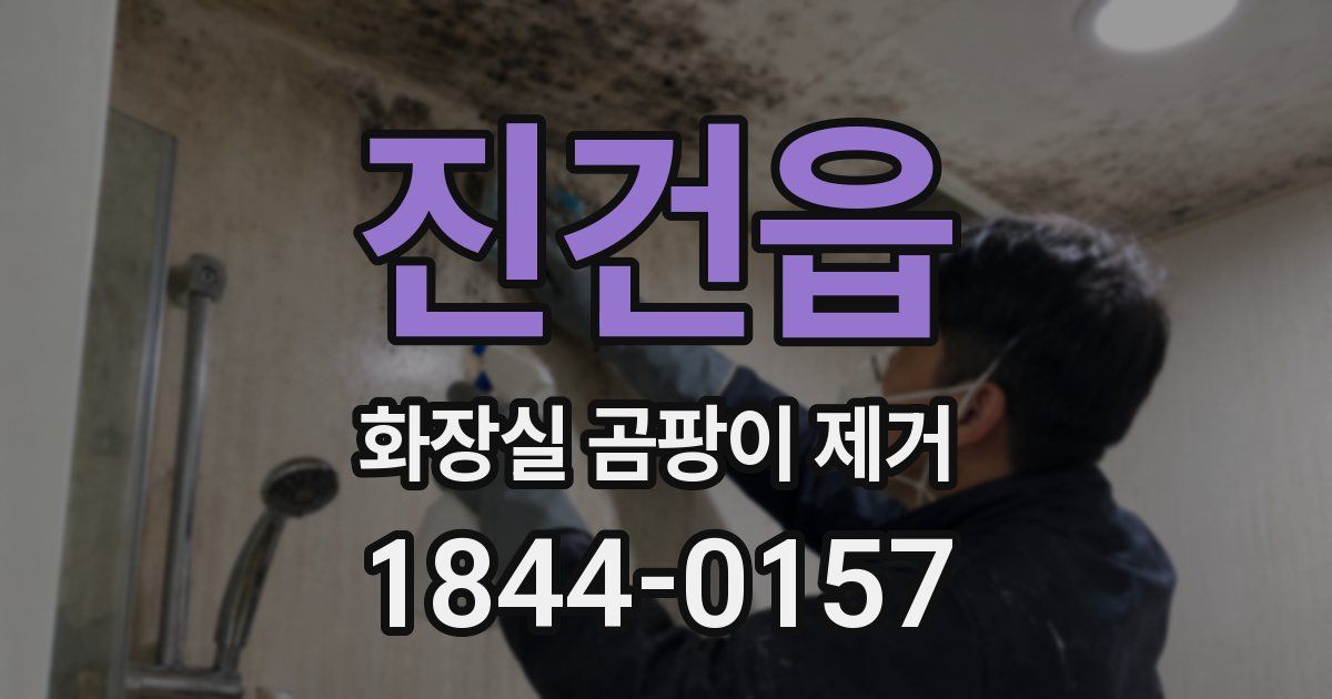 진건읍 화장실 곰팡이 제거