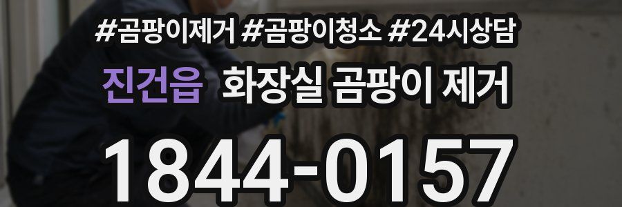 진건읍 화장실 곰팡이 제거
