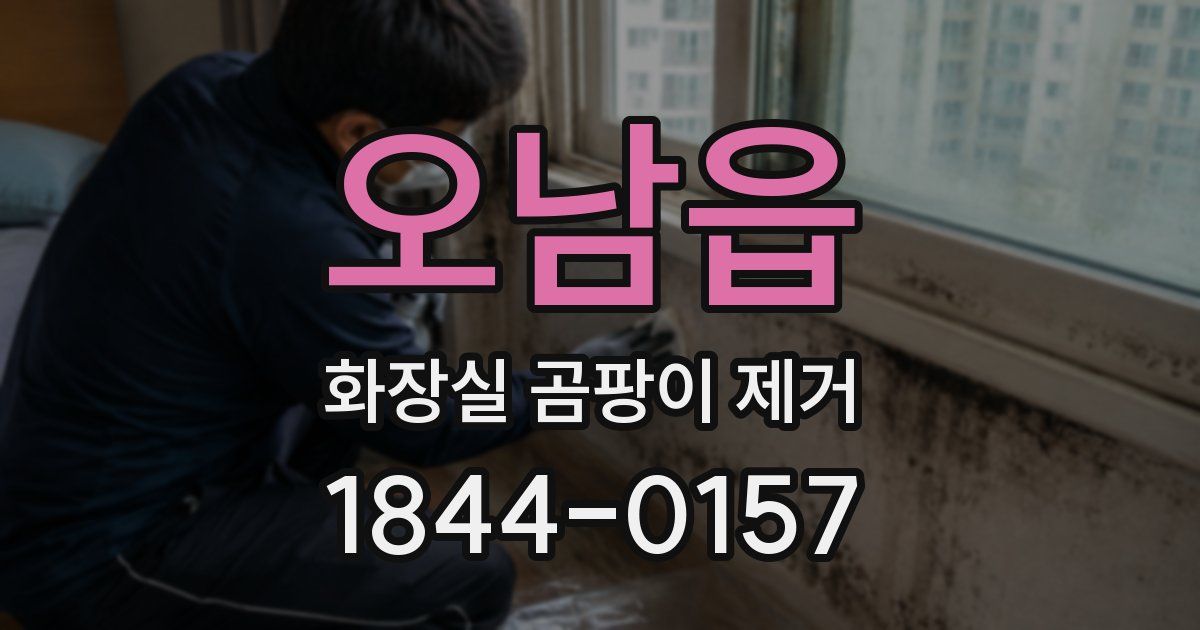 오남읍 화장실 곰팡이 제거