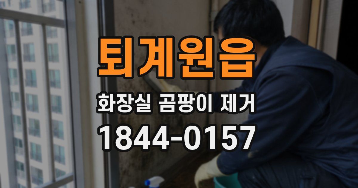 퇴계원읍 화장실 곰팡이 제거