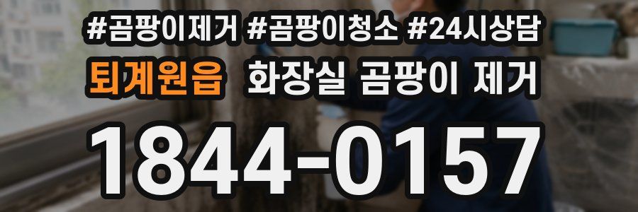 퇴계원읍 화장실 곰팡이 제거