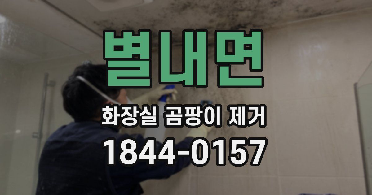 별내면 화장실 곰팡이 제거