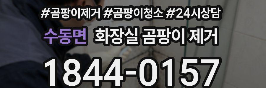 수동면 화장실 곰팡이 제거