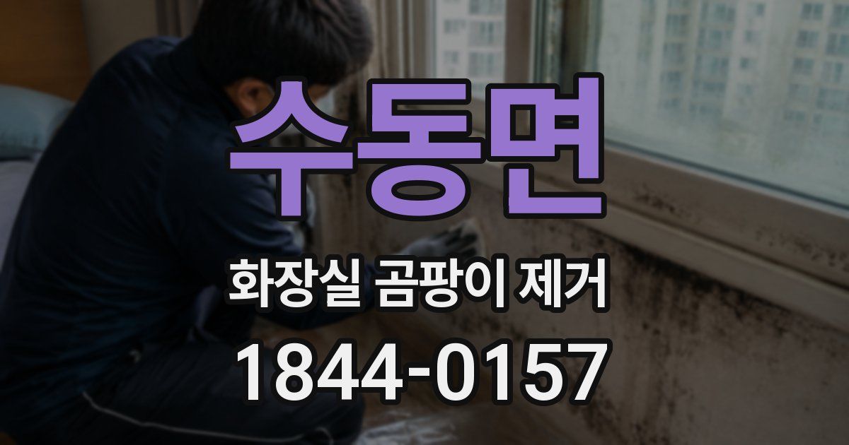 수동면 화장실 곰팡이 제거