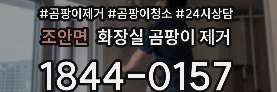 조안면 화장실 곰팡이 제거