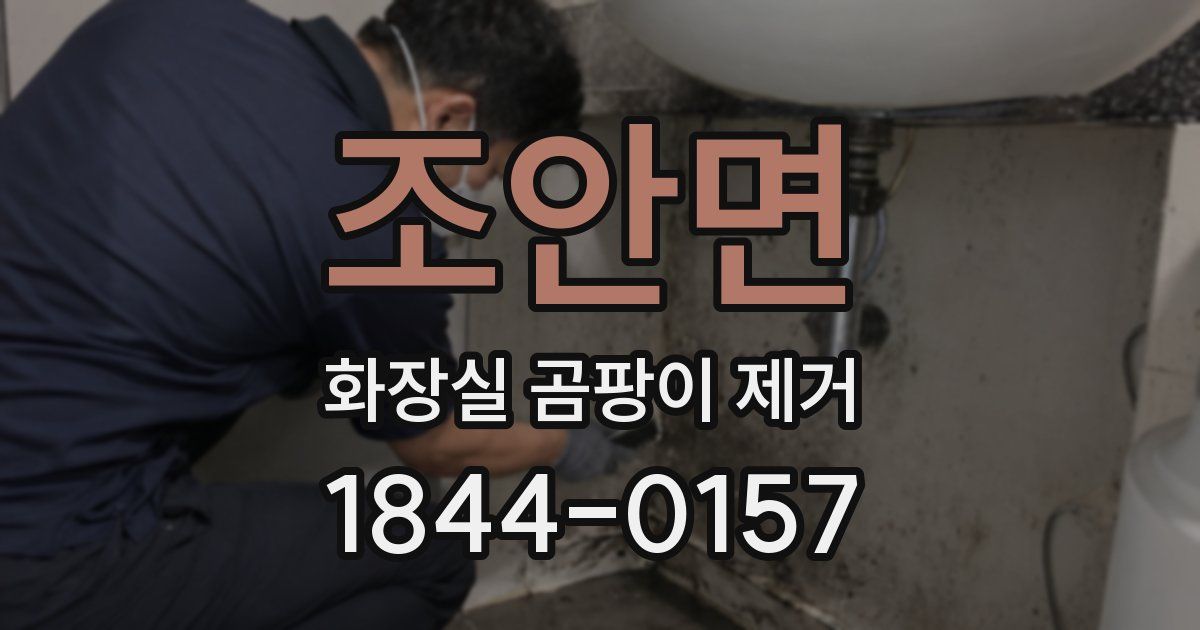 조안면 화장실 곰팡이 제거