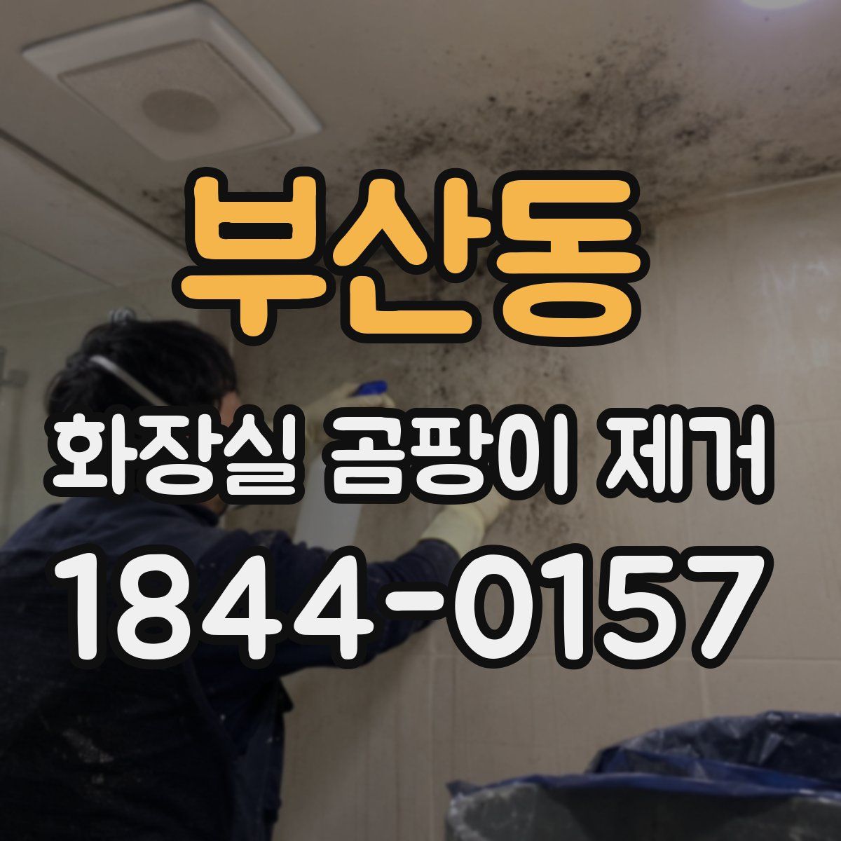 부산동 화장실 곰팡이 제거