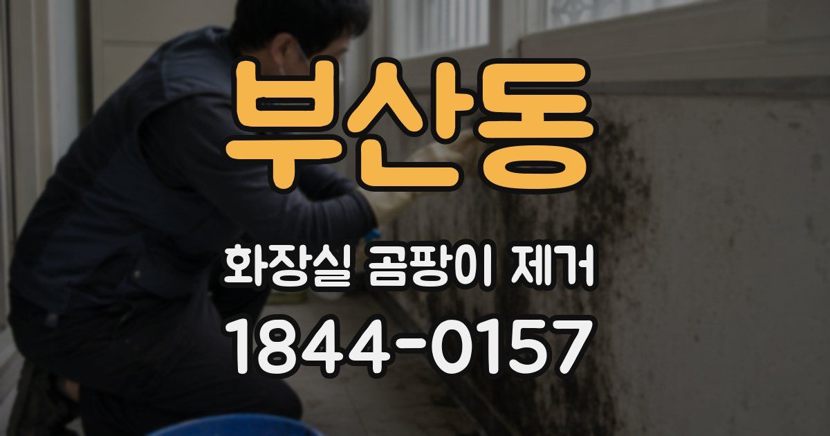 부산동 화장실 곰팡이 제거