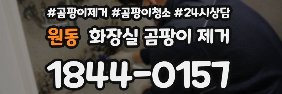 원동 화장실 곰팡이 제거
