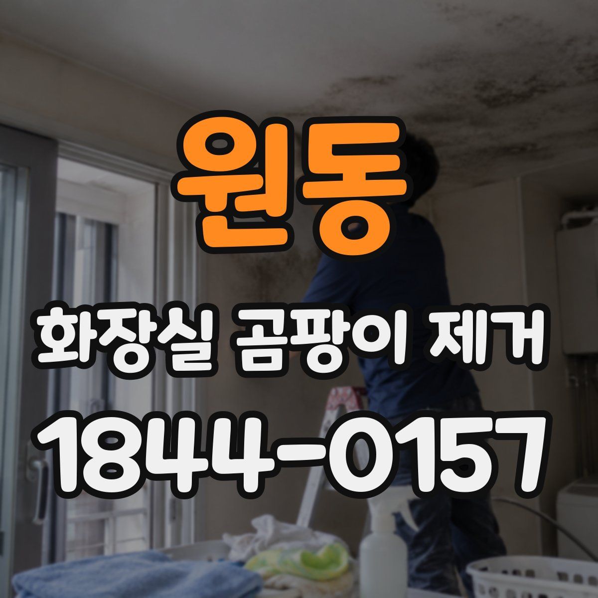 원동 화장실 곰팡이 제거