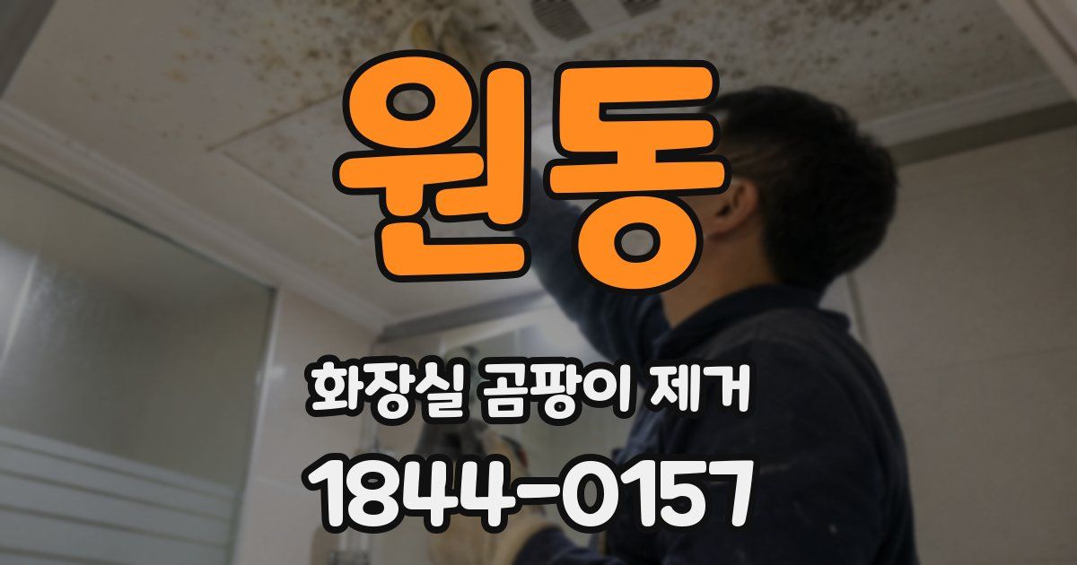 원동 화장실 곰팡이 제거