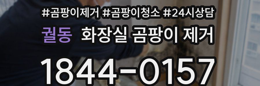 궐동 화장실 곰팡이 제거