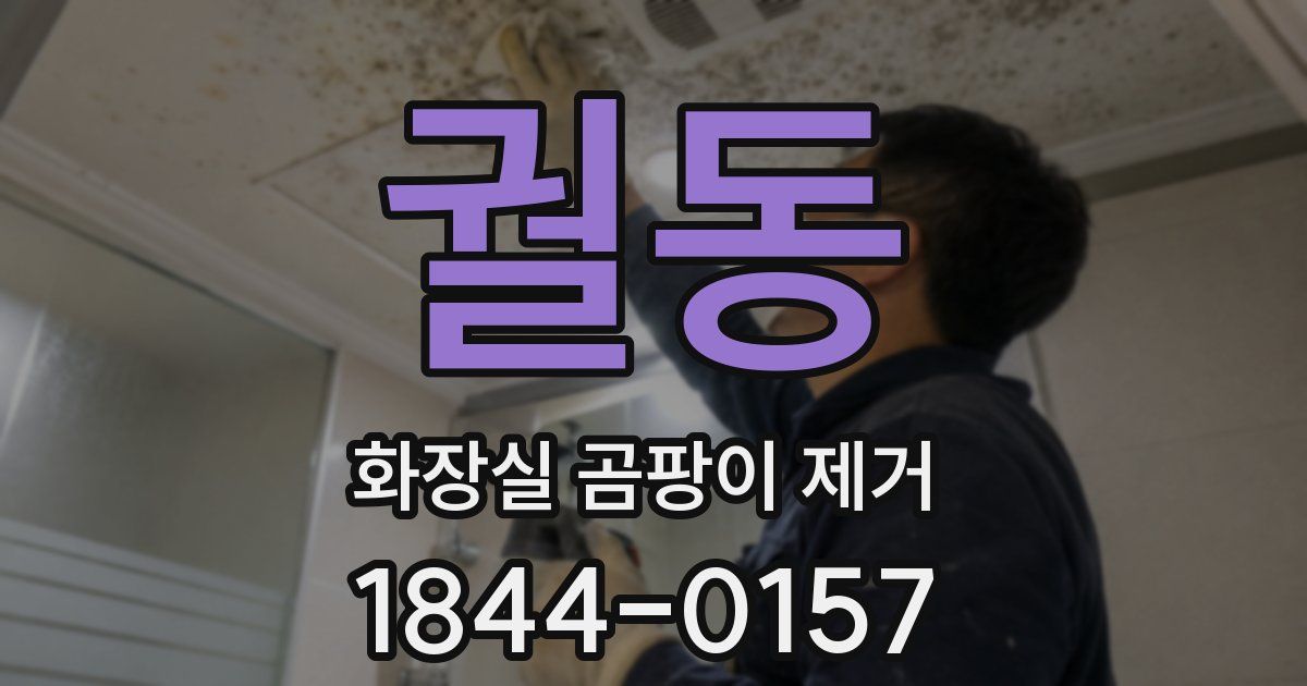 궐동 화장실 곰팡이 제거