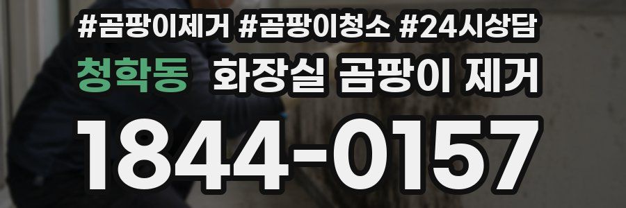 청학동 화장실 곰팡이 제거