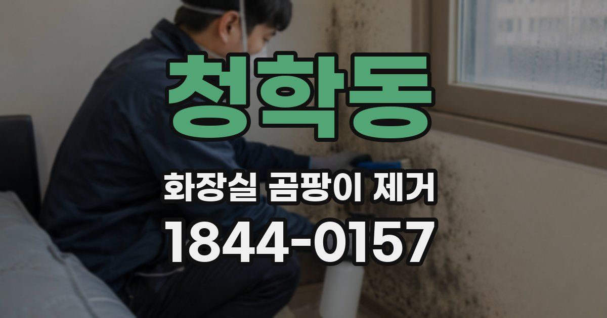 청학동 화장실 곰팡이 제거