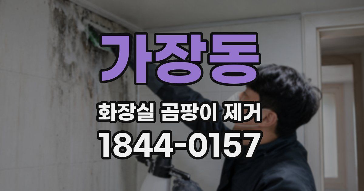가장동 화장실 곰팡이 제거