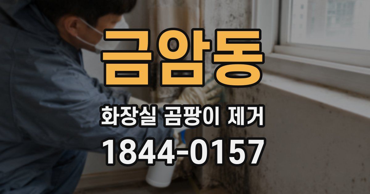 금암동 화장실 곰팡이 제거