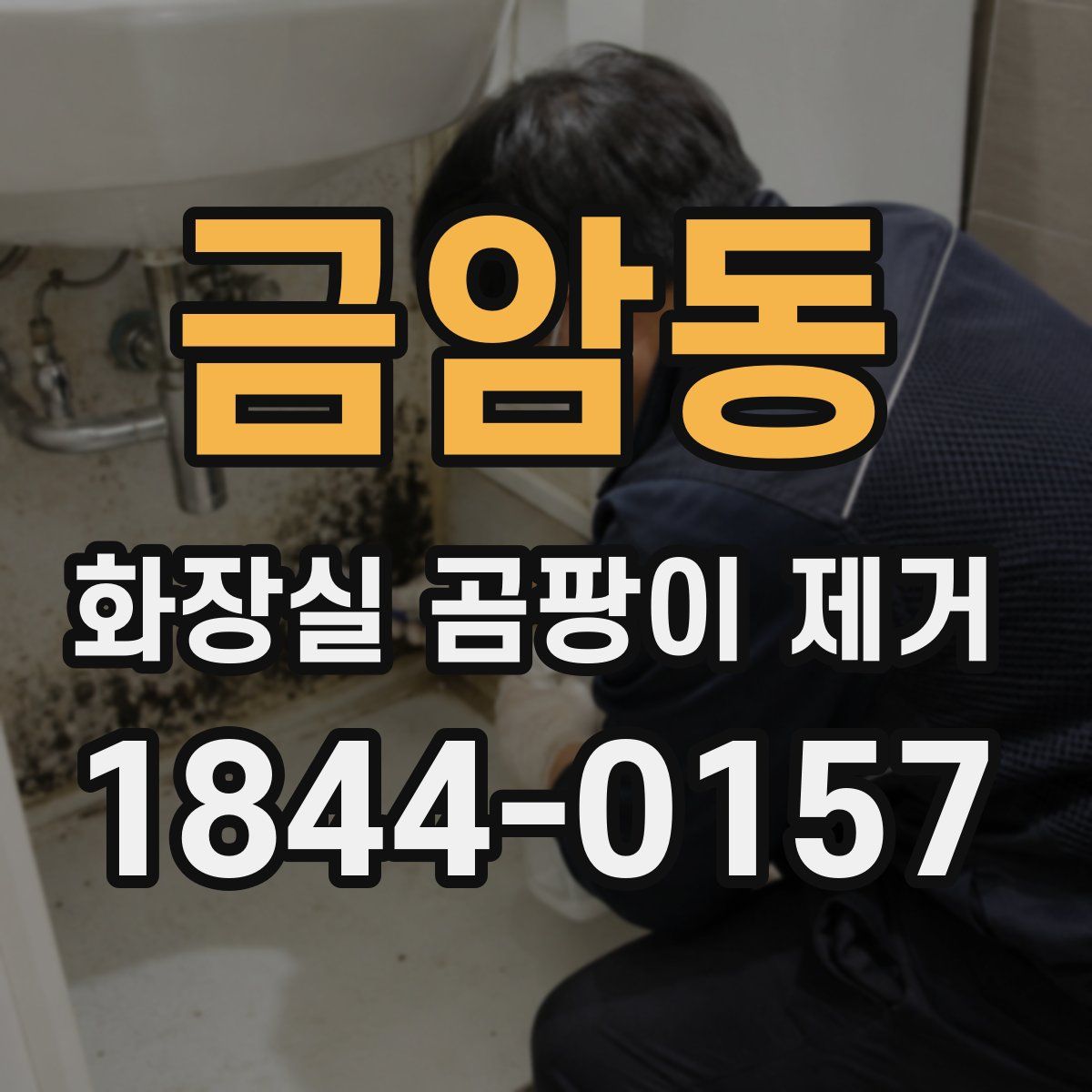 금암동 화장실 곰팡이 제거