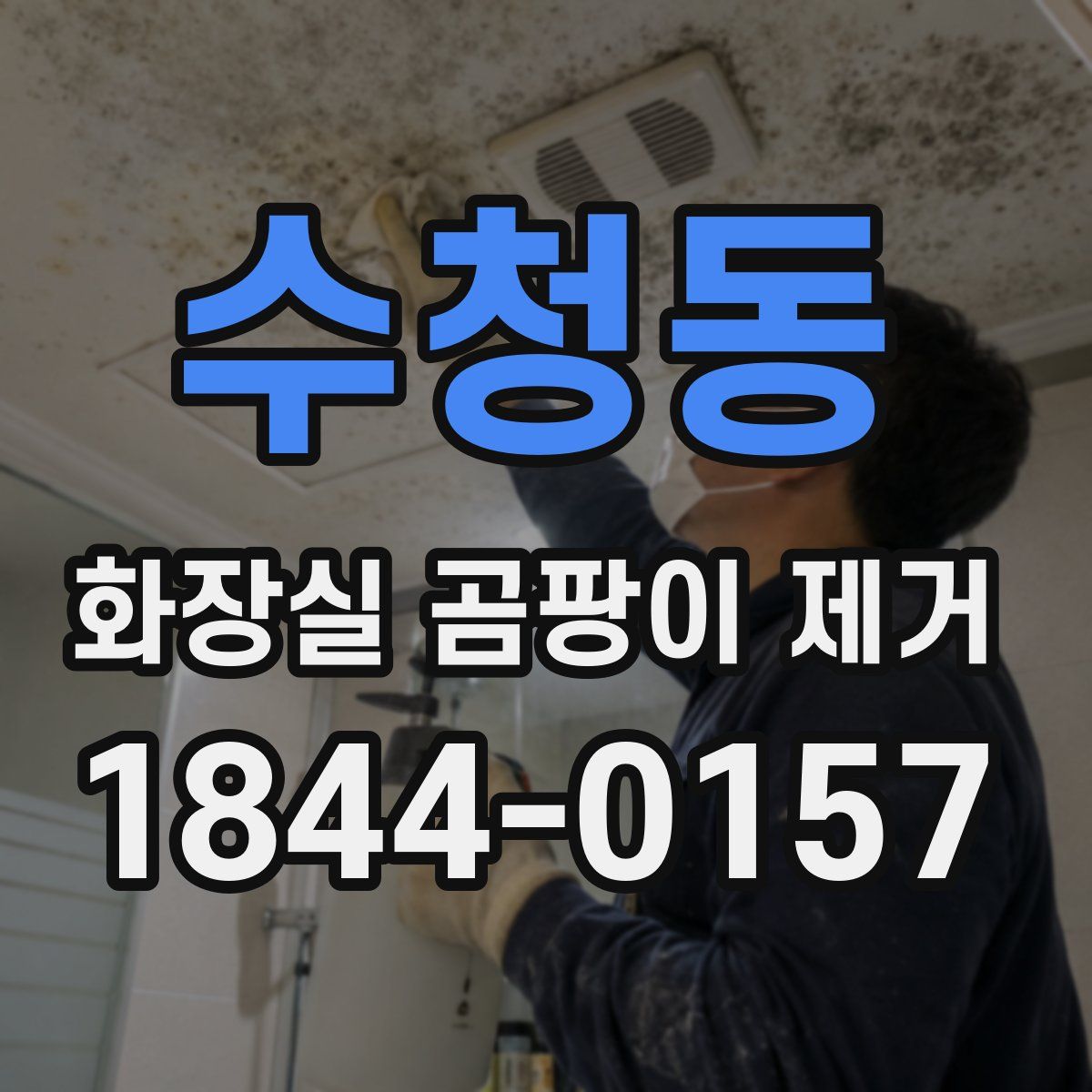 수청동 화장실 곰팡이 제거