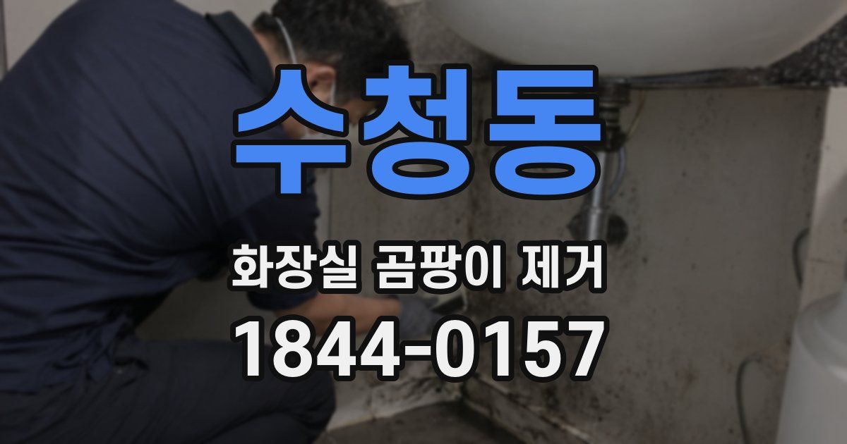 수청동 화장실 곰팡이 제거