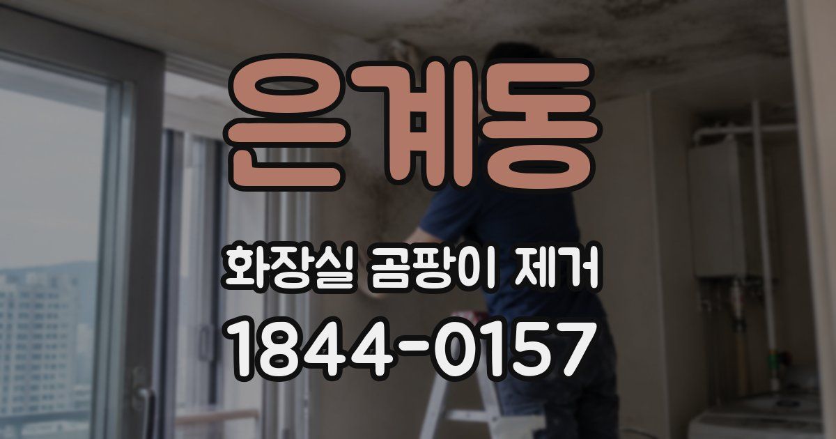 은계동 화장실 곰팡이 제거