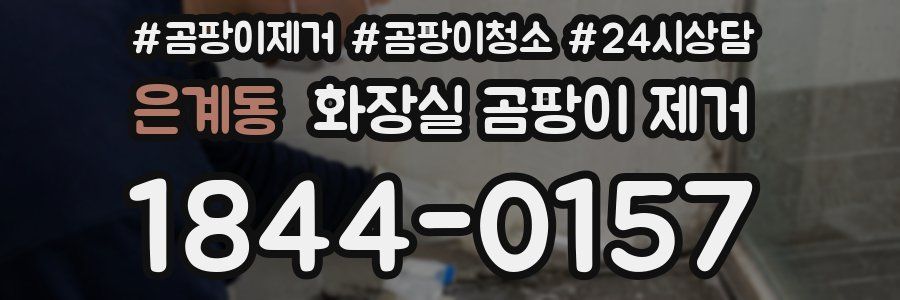 은계동 화장실 곰팡이 제거
