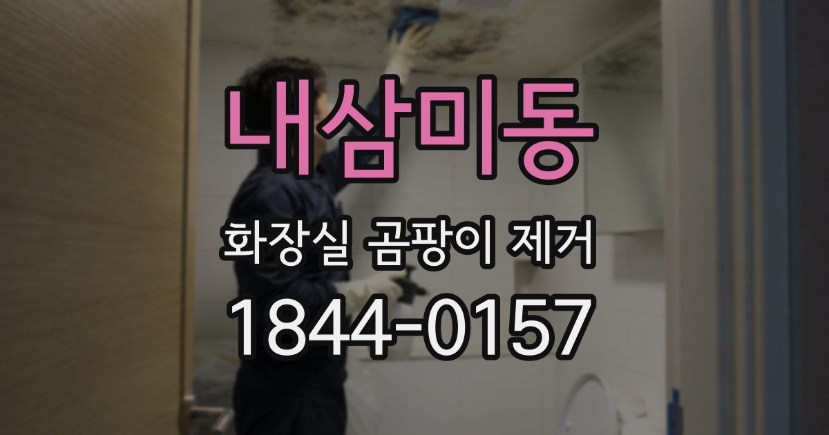 내삼미동 화장실 곰팡이 제거