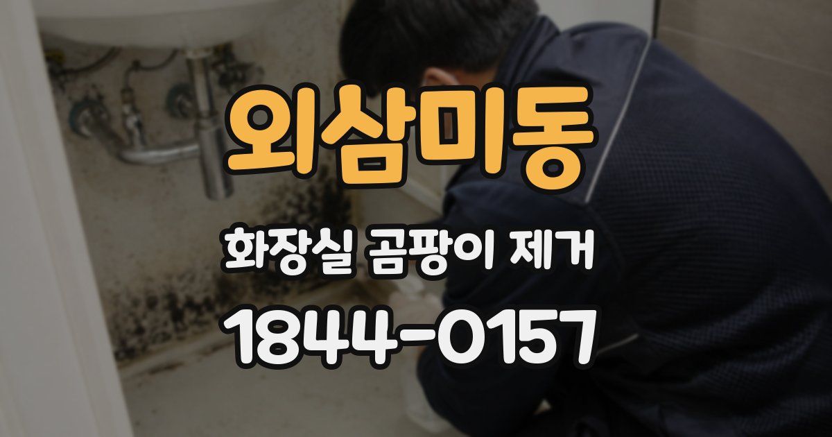 외삼미동 화장실 곰팡이 제거