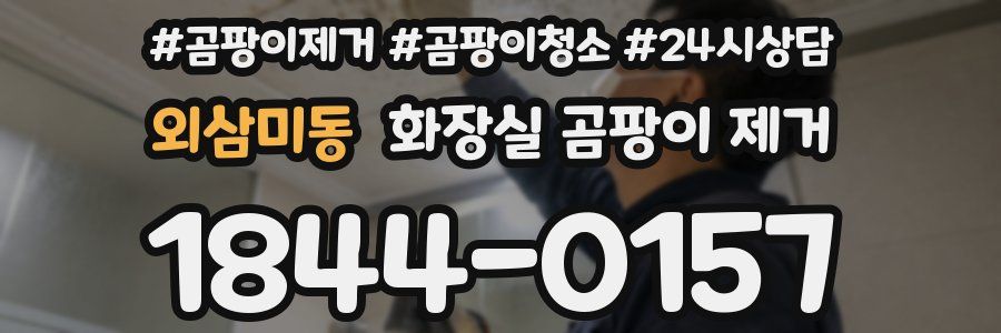 외삼미동 화장실 곰팡이 제거