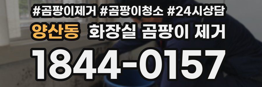 양산동 화장실 곰팡이 제거