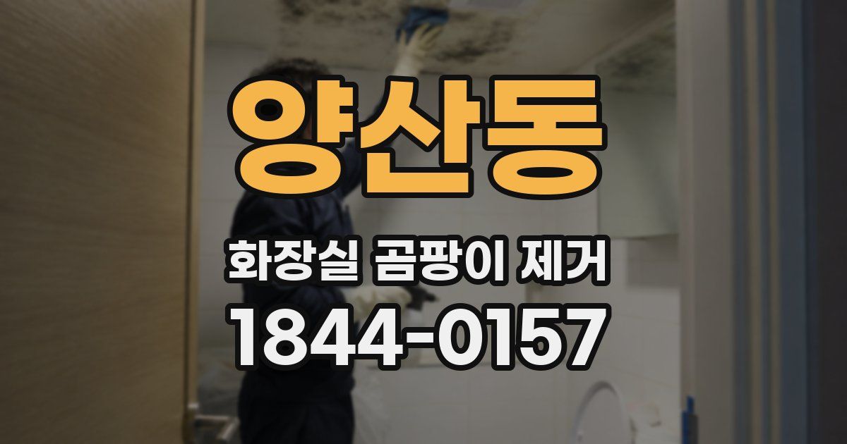 양산동 화장실 곰팡이 제거