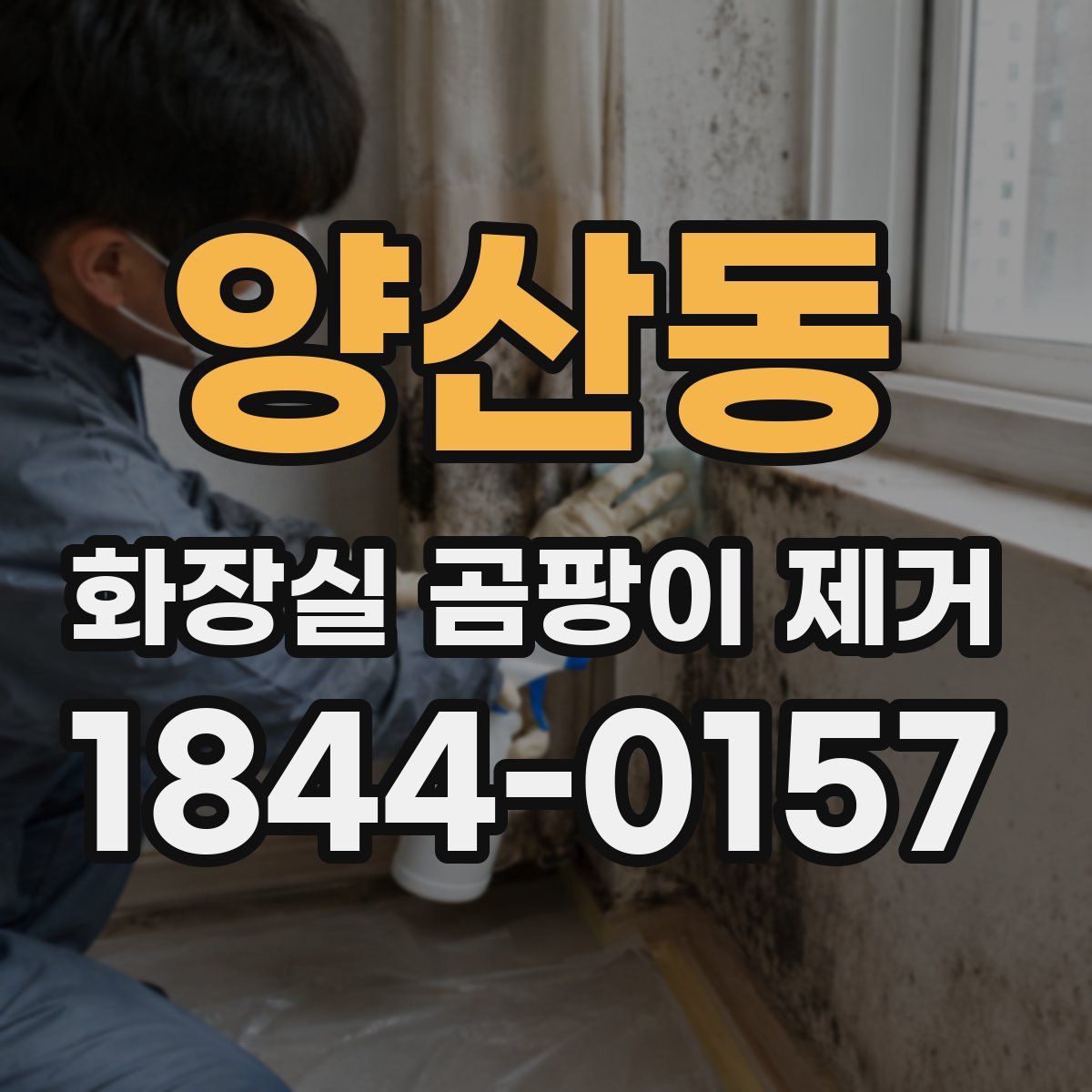 양산동 화장실 곰팡이 제거