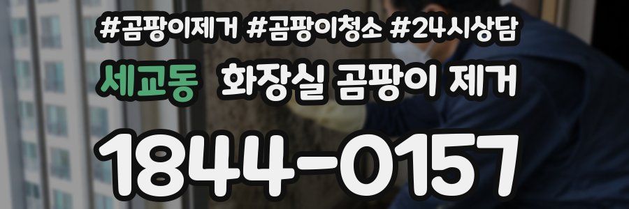 세교동 화장실 곰팡이 제거