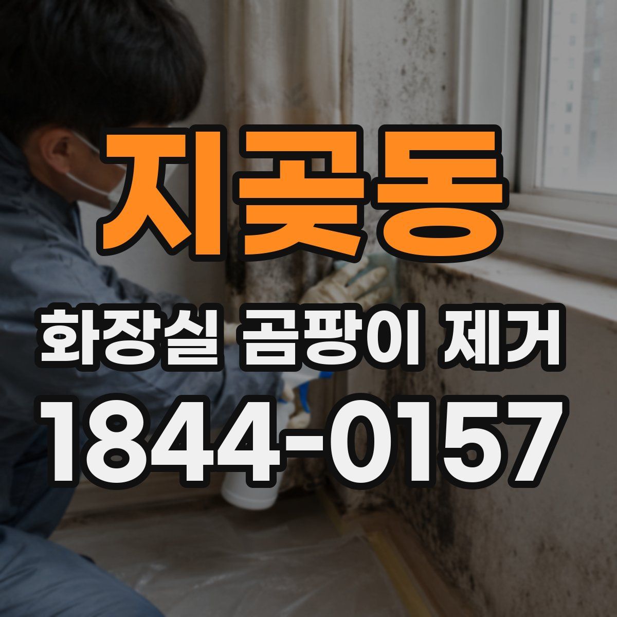 지곶동 화장실 곰팡이 제거