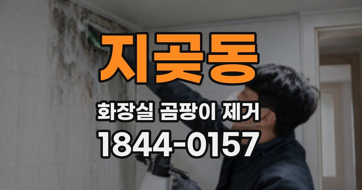 지곶동 화장실 곰팡이 제거