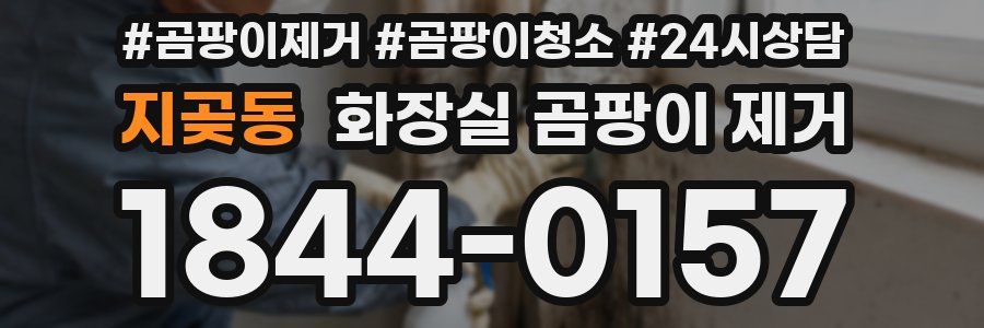 지곶동 화장실 곰팡이 제거