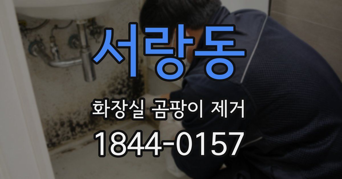 서랑동 화장실 곰팡이 제거