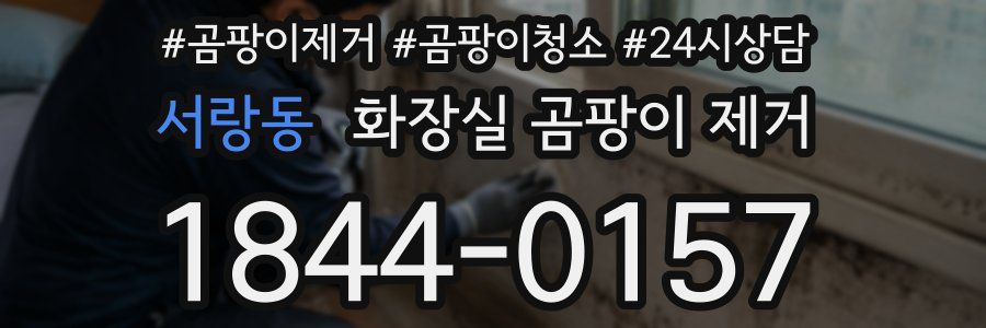 서랑동 화장실 곰팡이 제거