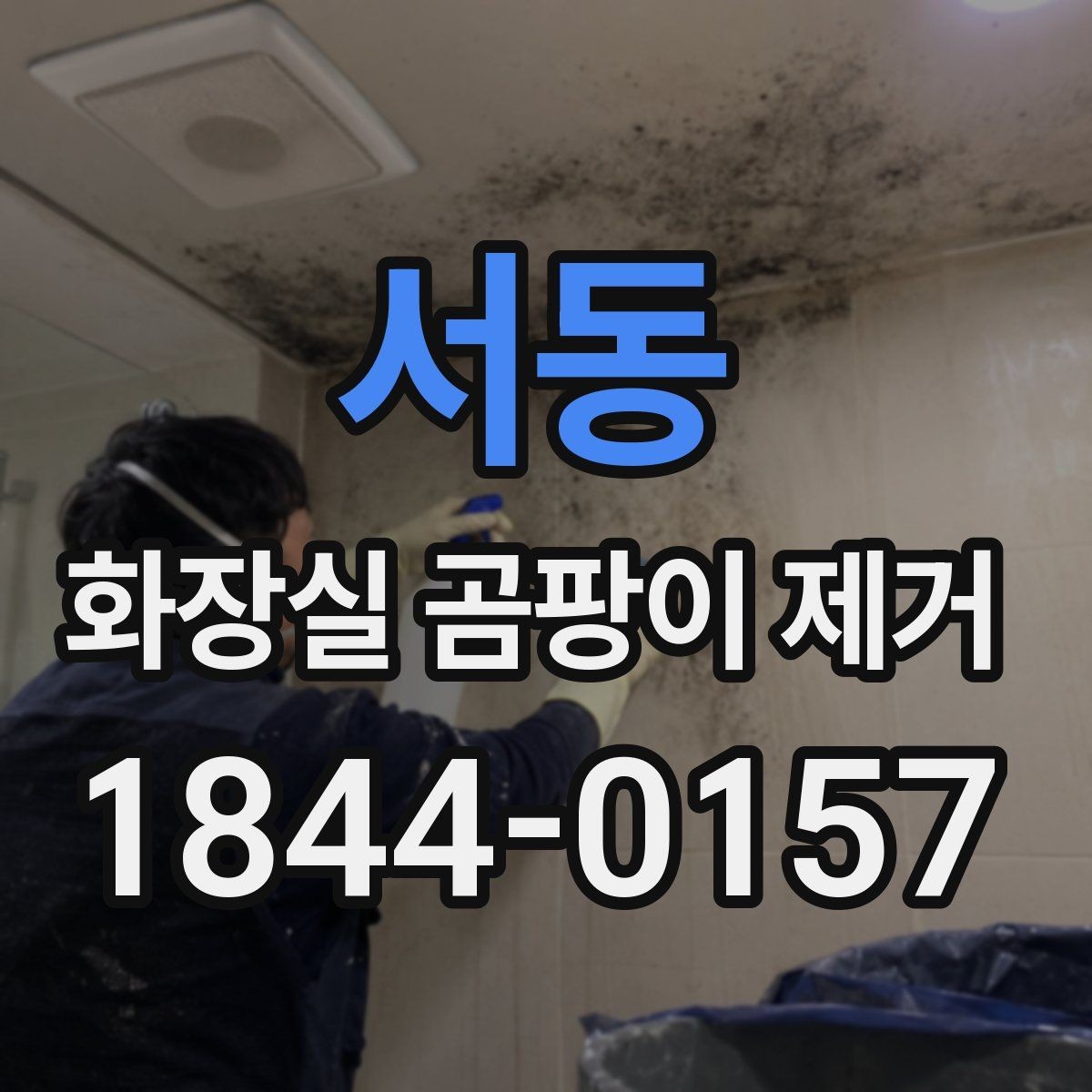 서동 화장실 곰팡이 제거 색상 변색 없이 관리하는 타일·실리콘 점검