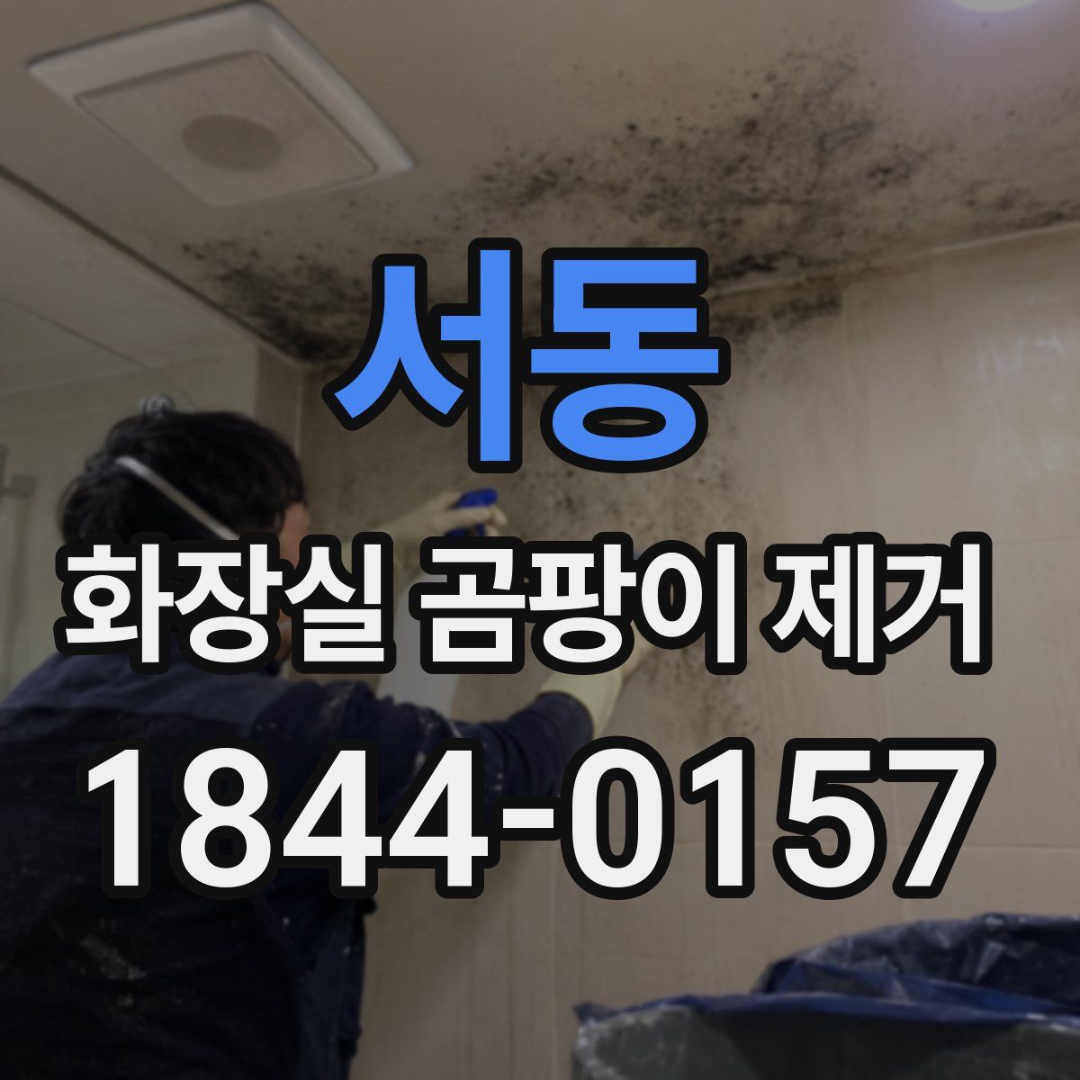 서동 화장실 곰팡이 제거
