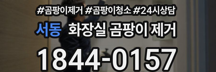 서동 화장실 곰팡이 제거