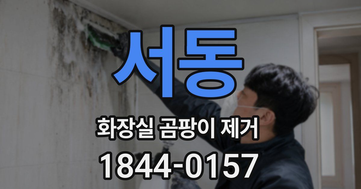 서동 화장실 곰팡이 제거